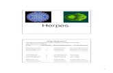 Herpes - kempf.dcb.unibe. Herpes Simplex Virus I ± Orofacial lesions Sensorische Nervenknoten Herpes