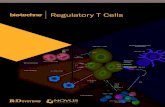 Regulatory T Cells - .R&D Systems ® MagCellect â„¢ CD4+CD25+ Regulatory T Cell Selection Kits R&D