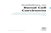 Guidelines on Renal Cell Carcinoma - ™œ  .7.3 Drugs targeting VEGF, including other receptor