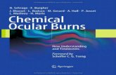 Chemical Ocular Burns - †¸±»¼¯±„‚4eyes.gr/images/4eyes/pdf/systemic-disorders/Chemical