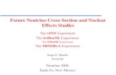 Future Neutrino Cross Section and Nuclear Effects .Future Neutrino Cross Section and Nuclear Effects