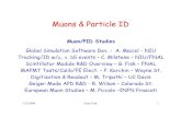 Muons & Particle ID - SLAC National Accelerator .Muons & Particle ID ... densities using a GEANT4