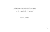 Il criterio media-varianza e il modello Finanziaria I/capm...  Ilcriteriomedia-varianza â€¢Se ±1¨
