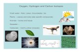 Oxygen, Hydrogen and Carbon Isotopes apaytan/290A_Winter2014/pdfs/290A Lecture 1 O...  Oxygen, Hydrogen