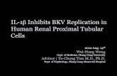IL-1² Inhibits BKV Replication in Human Renal Proximal Tubular Cells .â€¢ TAK1-NF-B signaling