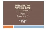 INFLAMMATION ENTZUNDUNGEN ”•™¤•• ™£—£ Inflammation (1) Def : Immediate and early response