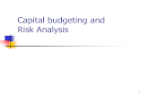 Capital Budgeting and Risk Analysis 4