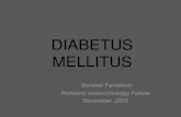 ppt diabetus millitus
