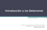 Detector Es