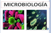 Tema 1.Historia de la microbiolog­a