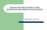 QUANTUM MECHANICS AND QUANTUM INFORMATION SCIENCE WHAT IS ¨?