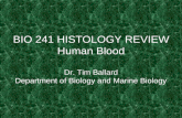 BIO 241 HISTOLOGY REVIEW Human Blood Dr. Tim Ballard Department of Biology and Marine Biology
