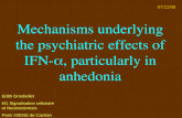 Mechanisms underlying the psychiatric effects of IFN-±, particularly in anhedonia Edith Grosbellet M1 Signalisation cellulaire et Neurosciences Paris XI/ENS