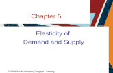 Chapter 5 Elasticity of Demand and Supply © 2009 South-Western/Cengage Learning