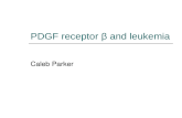 PDGF receptor ² and leukemia Caleb Parker. Overview ï‚ What is PDGFRB? ï‚ What role does PDGFRB play in the cell? ï‚ What is CMML? ï‚ What is Tel/PDGFRB?