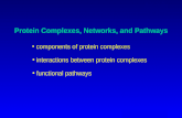 Protein Complexes, Networks, and Pathways