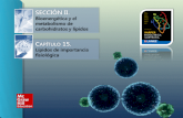 Secci³n II.  Bioenerg©tica y el metabolismo de carbohidratos y l­pidos