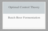 Optimal Control Theory Batch Beer Fermentation. General Case Min/max