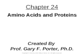 Chapter 24 Amino Acids and Proteins Created By Prof. Gary F. Porter, Ph.D. Copyright © 2014 by John Wiley & Sons, Inc. All rights reserved