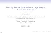 Limiting Spectral Distribution of Large Sample Covariance ... Spectral Distribution of Large Sample