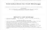 Introduction to Cell Biology - Semantic Scholar Introduction to Cell Biology ¢â‚¬“All human beings by