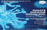 INNATE IMMUNE SIGNALING: cGAS/STING Immunity Signalling Cayman Currents... Page 1 Cytosolic DNA Sensing