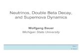 Neutrinos, Double Beta Decay, and Supernova Dynamics Neutrinos, Double Beta Decay, and Supernova Dynamics