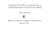 Targeting the TGF-خ²superfamily in Myelodysplastic ... Targeting the TGF-خ²superfamily in Myelodysplastic