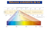 Natureza ondulatأ³ria da luz - Natureza ondulatأ³ria da luz â€¢ Planck (1900) : a energia sأ³ pode ser