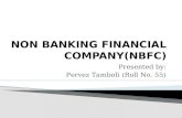 Non Banking Financial Nbfc