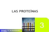 03 Las proteinas