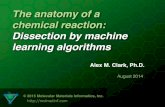 The anatomy of a chemical reaction: Dissection by machine learning algorithms