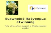E twinning presentation, â€œVin, vino, ¯½‚ (±ƒ¯): a Mediterranean matter