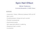 Michel Dyakonov- Spin Hall Effect