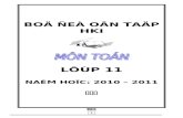 Bo de on Tap TOAN HKI Khoi 11 Nam 2010 - 2011