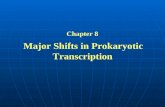 Chapter 8  Major Shifts in Prokaryotic Transcription