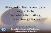 Magnetic fields and jets  as particle  acceleration sites  in active galaxies