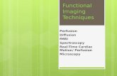 Functional Imaging Techniques