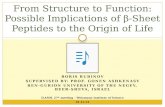 From Structure to Function: Possible Implications of ²-Sheet Peptides to the Origin of Life