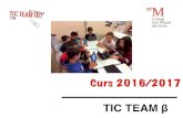 Tic Team Beta 2016-2017