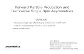 Forward Particle Production and Transverse Single Spin 2006. 2. 27.¢  Forward Particle Production and