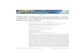 Methodology Molecular cloning and characterization of gene ... Cloning of the full-length cDNA of LsTMT