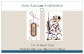 Introduction to Beta Lactam Antibiotics