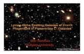 Lyman Alpha Emitting Galaxies at 2