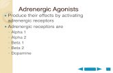 Adrenergic 1 and ®± 2, based on their affinities for ®± agonists and antagonist drugs. ¢â‚¬¢ For example,