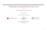 Precision calculations for the LHC 2015-09-07¢  Precision calculations for the LHC or From amplitudes