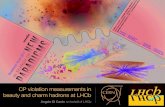 CP violation measurements in beauty and charm hadrons at LHCb CP violation measurements in beauty and