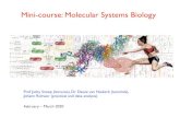 Mini-course: Molecular Systems Mini-course: Molecular Systems Biology Prof Jacky Snoep (lectures), Dr