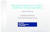 Hawking radiation in a BEC: problems & open questions Hawking radiation in a BEC: problems & open questions
