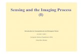 Sensing and the Imaging Process (I) ben-shahar/Teaching/... Sensing and the Imaging Process (I) Introduction